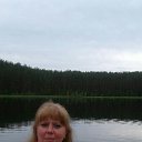 ���� �����, ������� �������� - ��������� 8 ������� 2018 � ������ ���� ����������