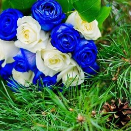 ������, ���, 58 ���