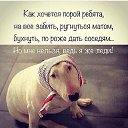 ���� �����, ������� ��������, 62 ���� - ��������� 11 ������� 2019 � ������ ������ ��������