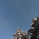 ���� ���������( �� �������), ��������� - ��������� 12 ������ 2019 � ������ �2019�