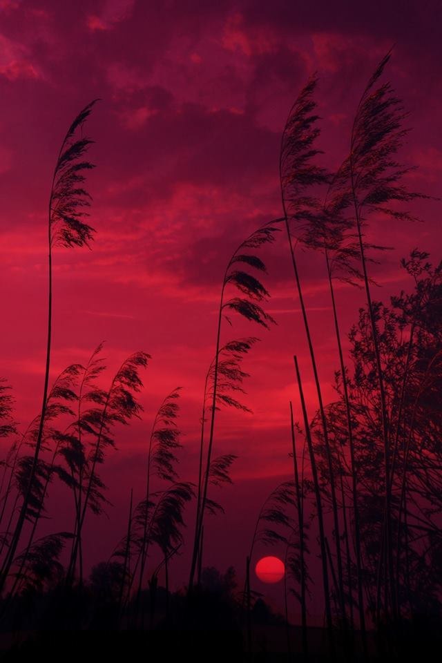   - 27  2018  21:09