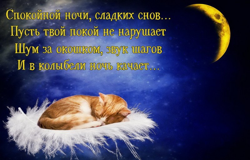������ - 23 ������ 2018 � 21:08