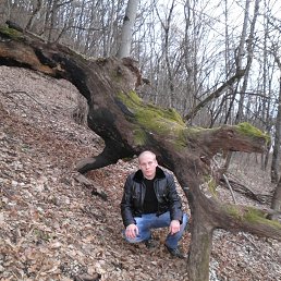 ������, ���������, 39 ���