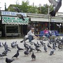 ���� Batyr, ������, 39 ��� - ��������� 5 ������ 2018 � ������ ���� ����������