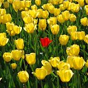 ���� ��������, ������, 78 ��� - ��������� 22 ������� 2018 � ������ ���������������������Ż