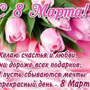 ���� �����, ������ - ��������� 8 ����� 2019 � ������ ������ ��������