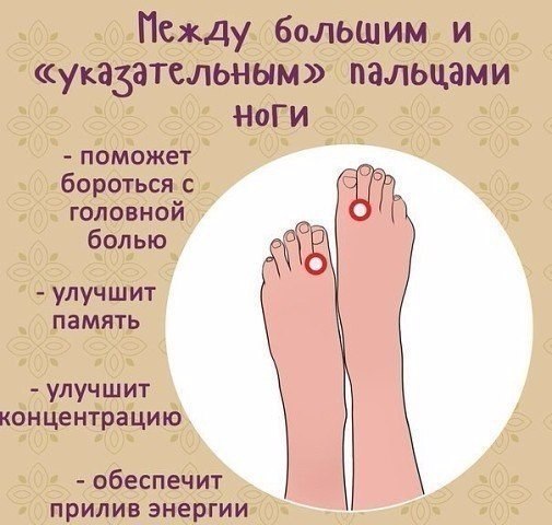 ���������� ����� �����, ������� ������ ���� � ������������ ������: - 5