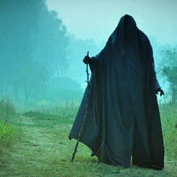 ��������, ������ ��������, 53 ����