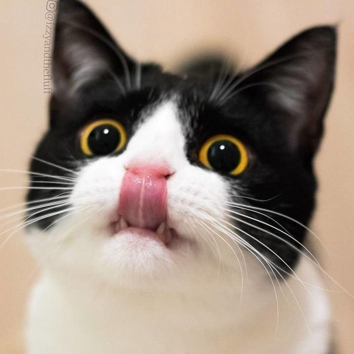      - 3