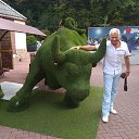 ���� ����, ������ - ��������� 27 ������� 2019 � ������ ���� ����������