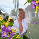 ���� ���������, ������, 62 ���� - ��������� 15 ������ 2018