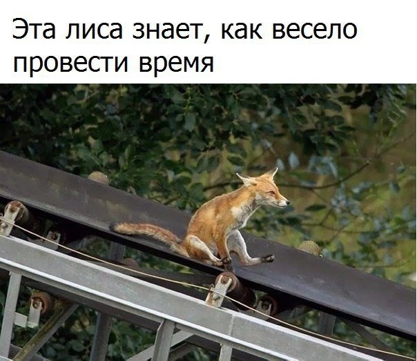 ������� - 8 ����� 2019 � 16:38