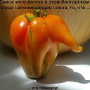 ���� ������� ������, ������ - ��������� 25 ������� 2018 � ������ ������ ��������