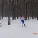18.02.2017      (40.8 ) .    .