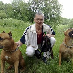 Araks_008, �����-���������, 64 ����