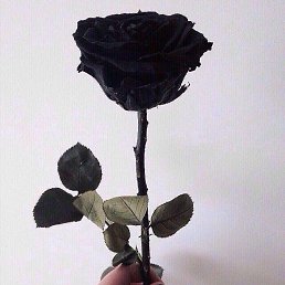 ����, �����, 23 ����