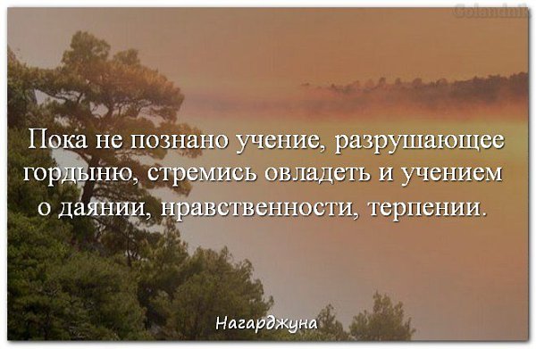 ��������� � ������������ TV - 3 ������� 2019 � 14:45