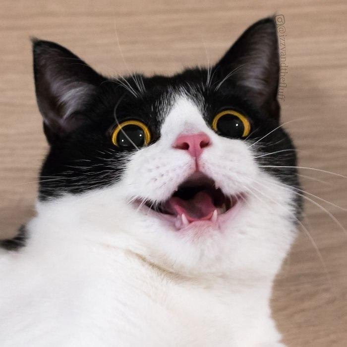      - 5