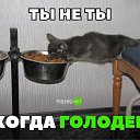 ���� �����, ����������� - ��������� 7 ������� 2019 � ������ ������ ��������