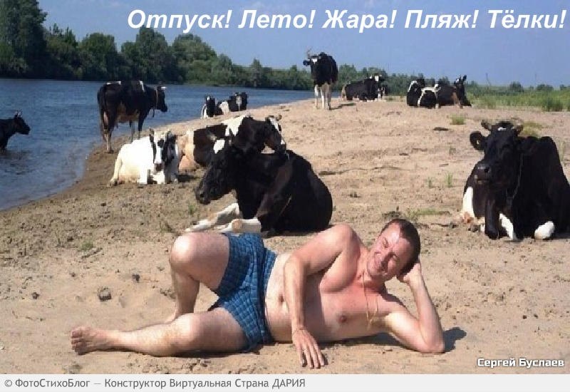       ))