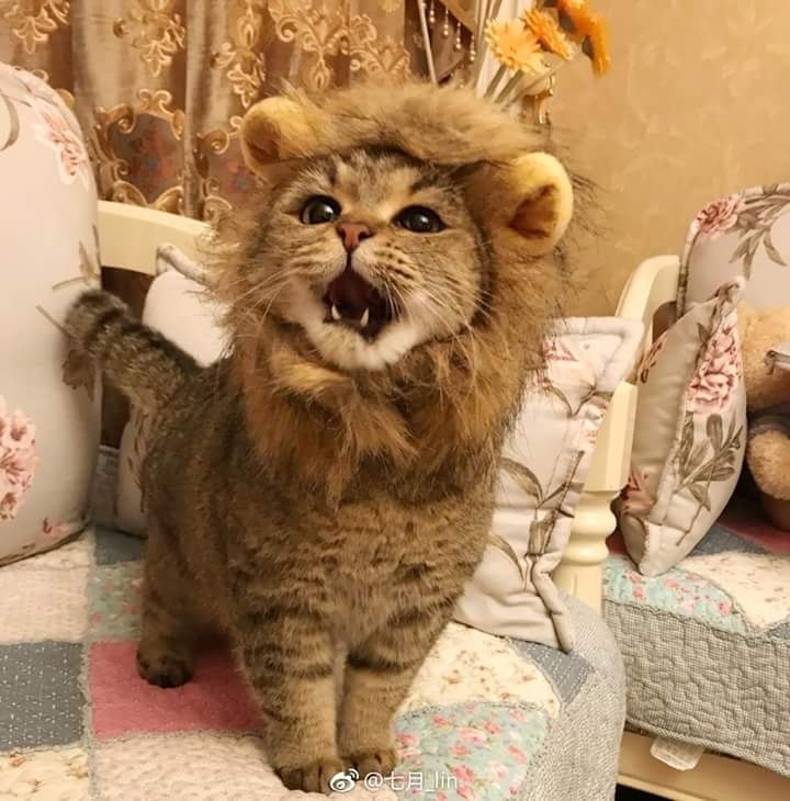   :3 - 2