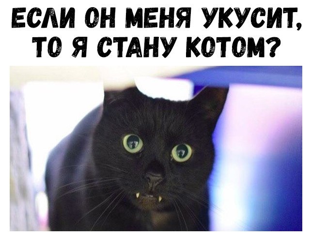    :D - 4  2018  17:08