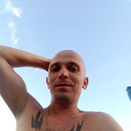 ���� Mastiff, �������������� - ��������� 18 ���� 2018