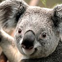 ���� ������, ������, 51 ��� - ��������� 9 ������� 2018 � ������ ���� ����������