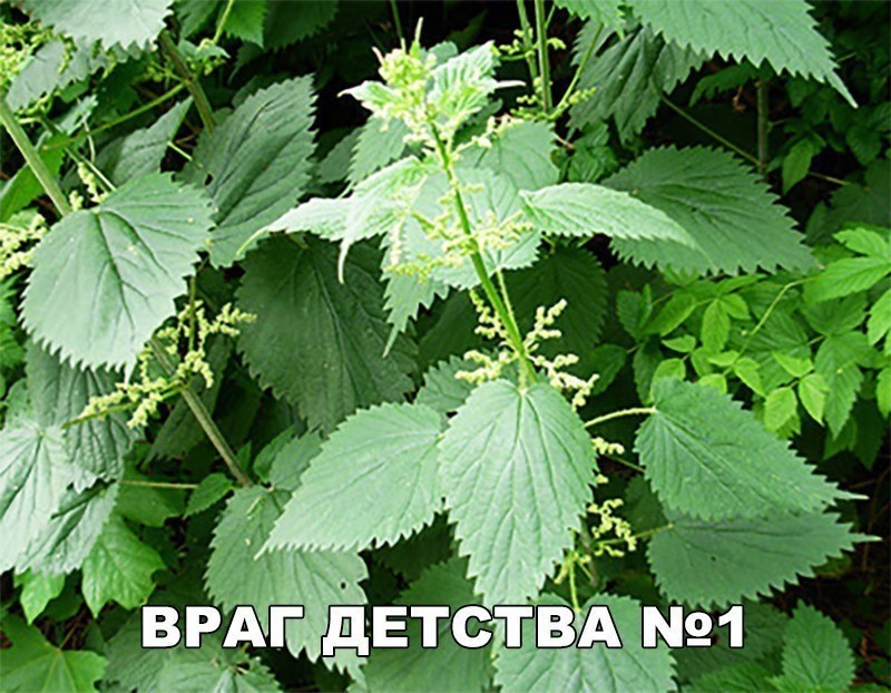    :D - 30  2019  16:53