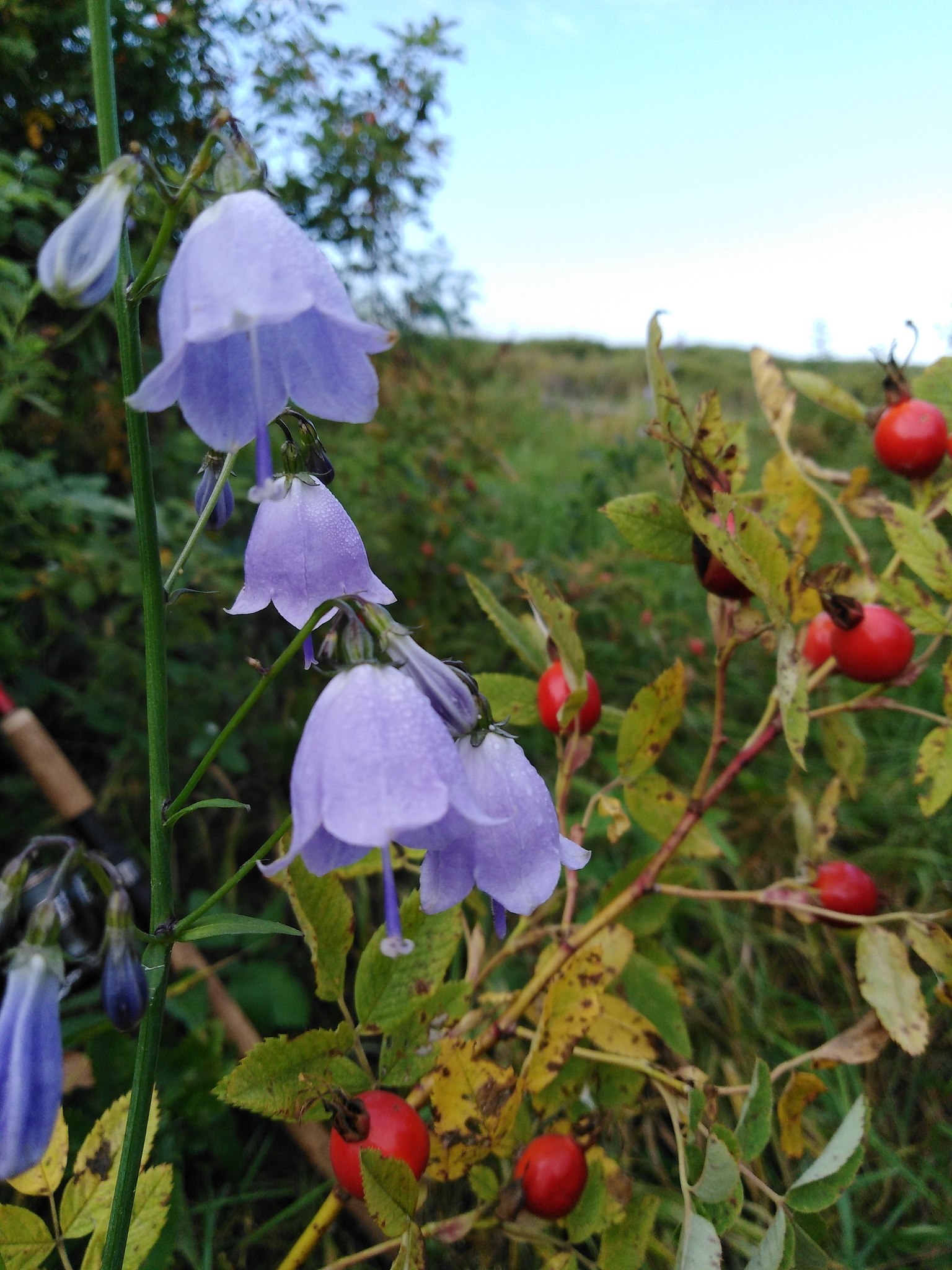  - 26  2018  21:03 - 6