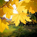 ���� ���������, �������, 66 ��� - ��������� 19 ������� 2018 � ������ ������ ��������