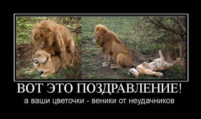 С праздником, девочки! Женщина-это не главное, Главное-линия плавная, Главное,понял недавно я, ...