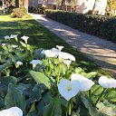 ���� �������, ������������ - ��������� 1 ������� 2019 � ������ ���������� ������