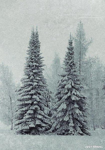 Allworld |    - 5  2018  16:34 - 3