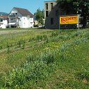 ����� �� ������� ���� ����������