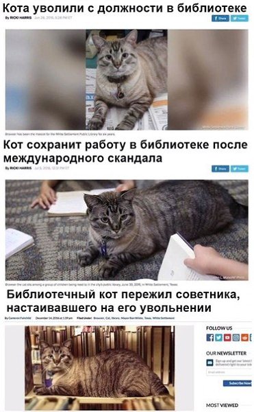 ~**~ - 22  2019  11:51