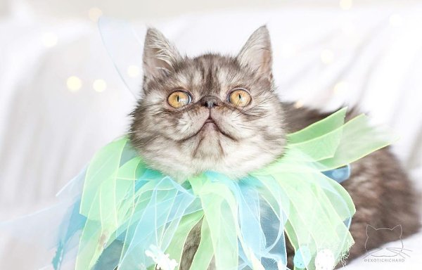    :3