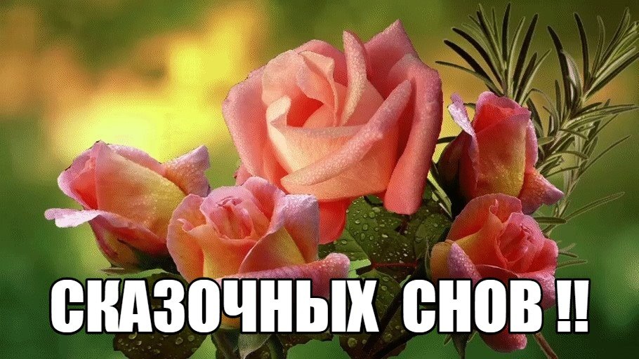   ,    . - 24  2019  21:25