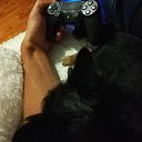 ������ � ����)))) ��� ��������� ���� �� ������� ���� ����������