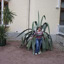  , -, 67  -  31  2018    