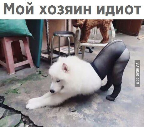  - 27  2018  16:48