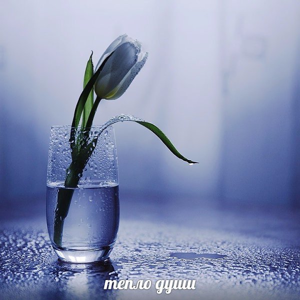  -  ,  ...  -   ,   ,  ...