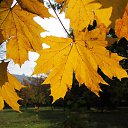 ���� ���������, �������, 66 ��� - ��������� 19 ������� 2018 � ������ ������ ��������