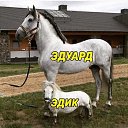 ���� Chichtov, ���������, 65 ��� - ��������� 30 ������� 2018 � ������ ���� ����������