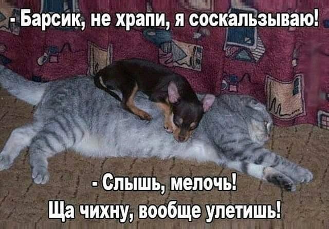   - 26  2019  13:57