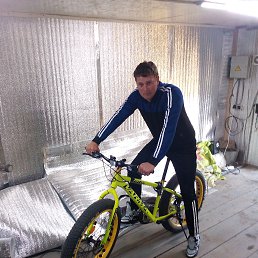 ���������, ��������, 38 ���