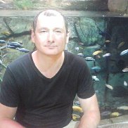 ���������, 50 ���, ���������