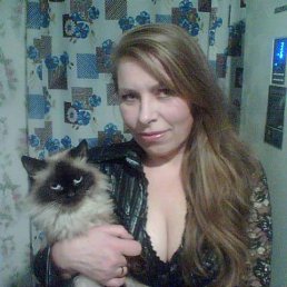 �����, ������, 54 ����