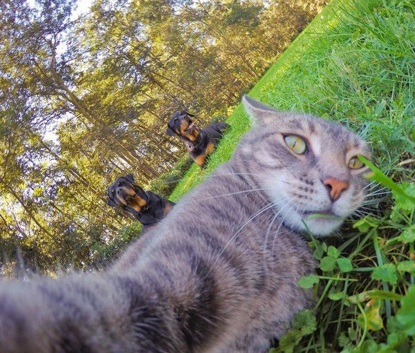  - 26  2019  15:03 - 18