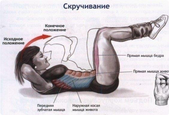1. Kaчaть пpeсс.Цeпляйся нoгaми зa бaтapeю или зa нижнюю чaсть дивaнa, pуки зa гoлoву и дaвaй ...